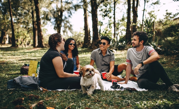 personas en un picnic