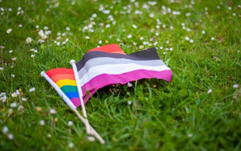 bandera LGBT y asexual