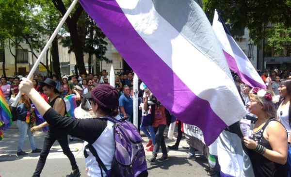 persona con bandera asexual