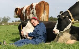 La diferencia entre cruelty free y apto vegano