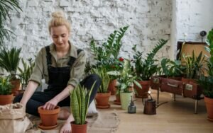 Las mejores 5 plantas de interior