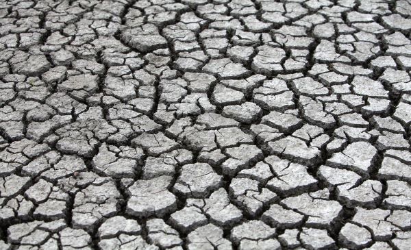 Foto que muestra la sequía en las tierras