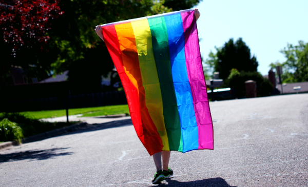 Persona con la bandera LGBT