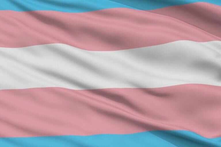 bandera trans