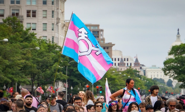 Bandera trans en una marcha por los derechos