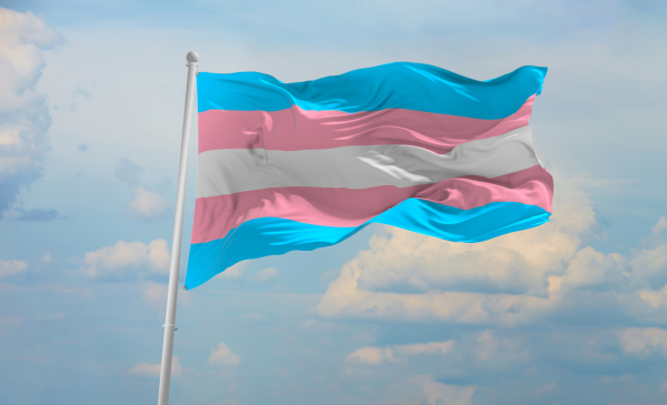 Hannah Cervantes, la Única Candidata Transgénero en Buscar la Coordinación Estatal de Morena en Nueve Estados